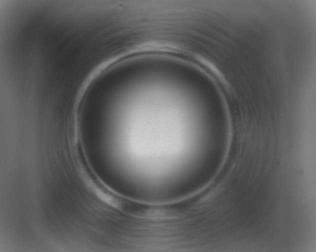 X0000083531371200702090955