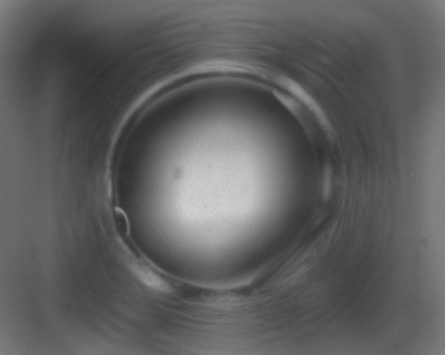 X0000083531372200702090955