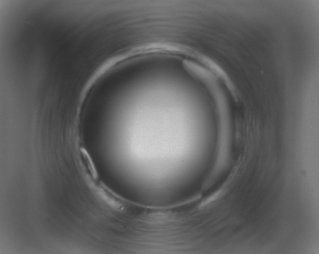 X0000083531373200702090955