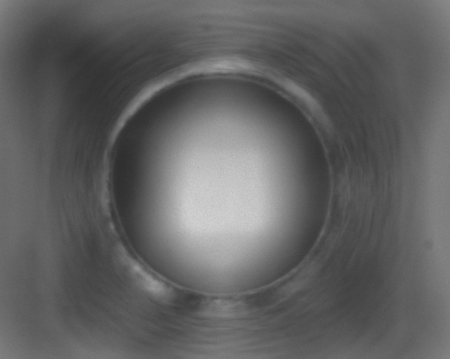X0000083531374200702090955