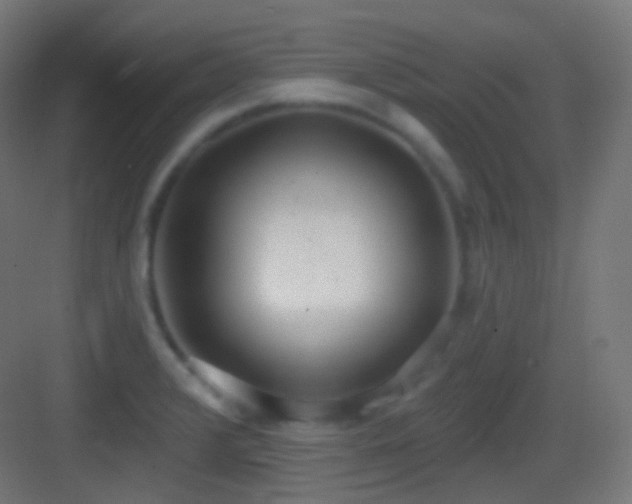 X0000083531376200702090955
