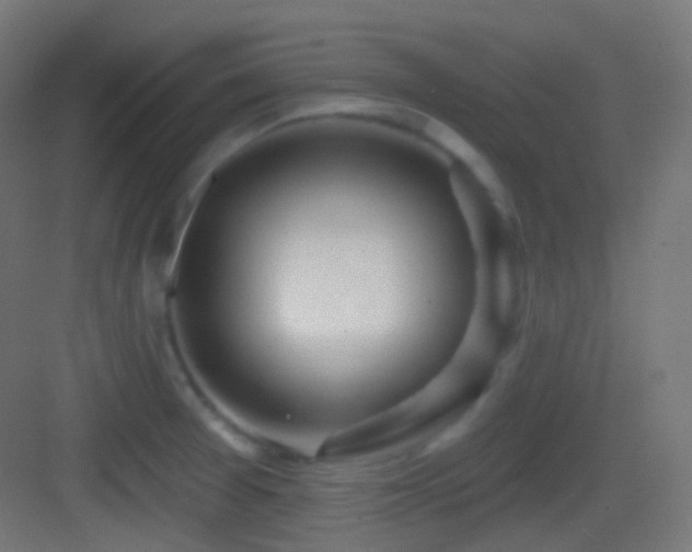 X0000083531377200702090955