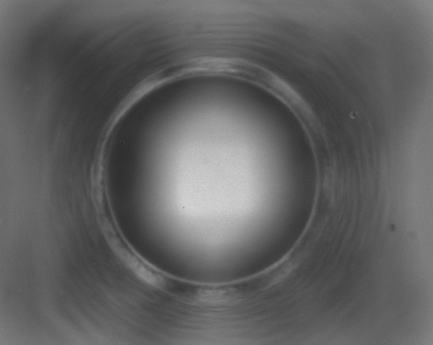 X0000083531378200702090955