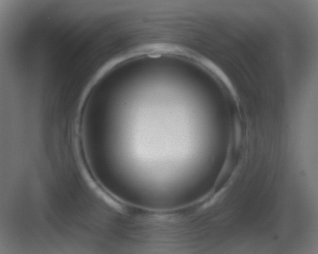 X0000083531381200702090955