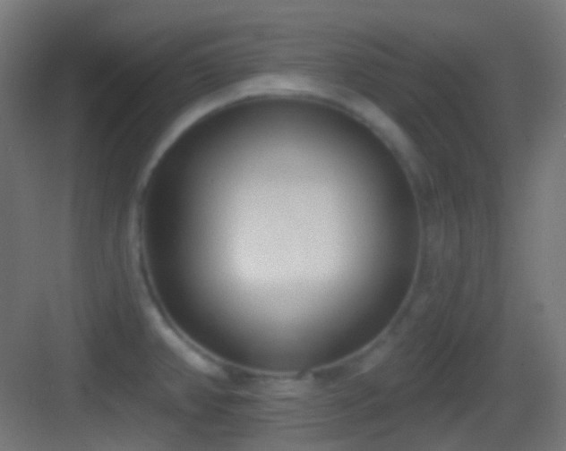 X0000083531382200702090955
