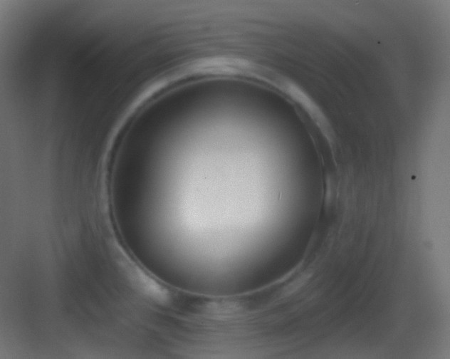 X0000083531384200702090955