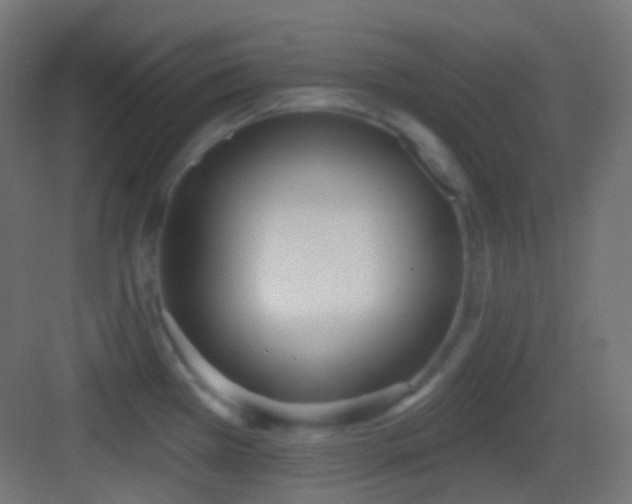 X0000083531385200702090955