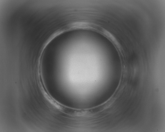 X0000083531386200702090955