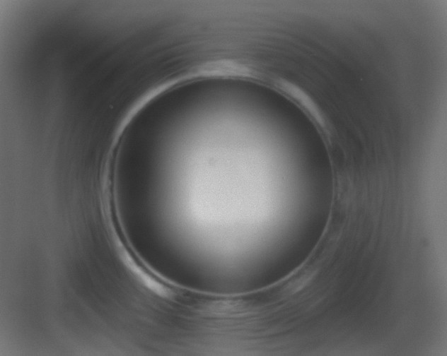 X0000083531387200702090955