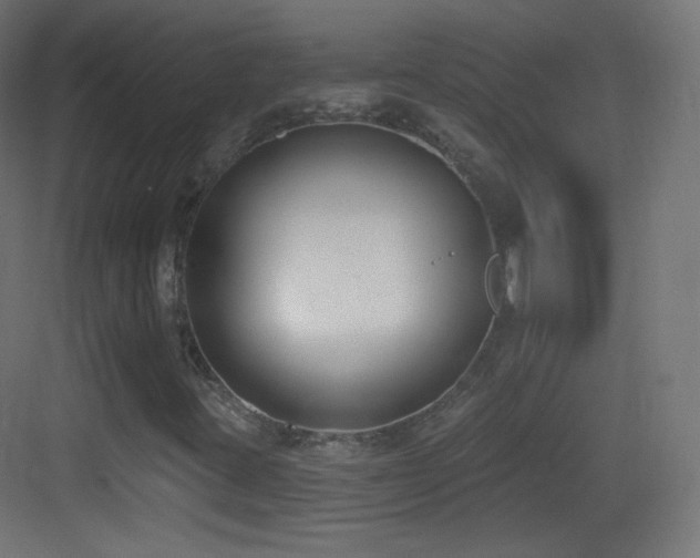 X0000083531395200702090954