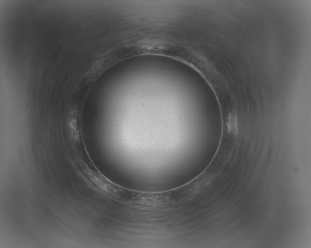 X0000083531396200702090954