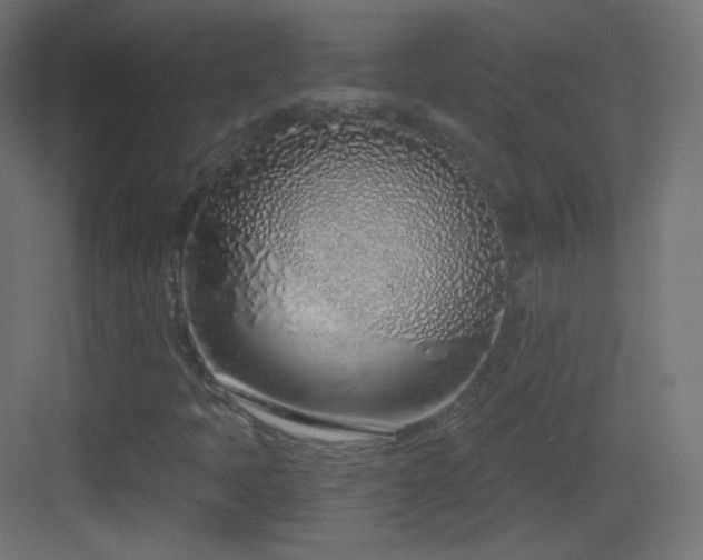 X0000083531397200702090954