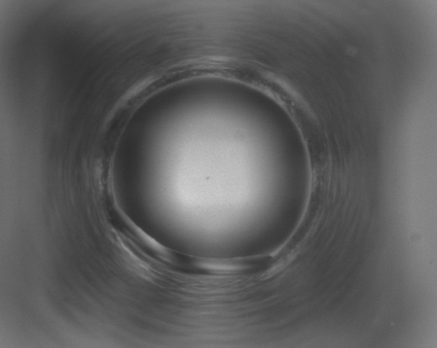 X0000083531402200702090954