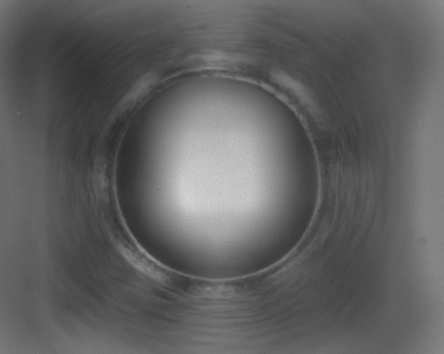 X0000083531403200702090954