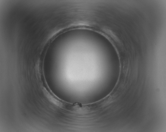X0000083531404200702090954