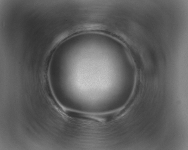 X0000083531405200702090954