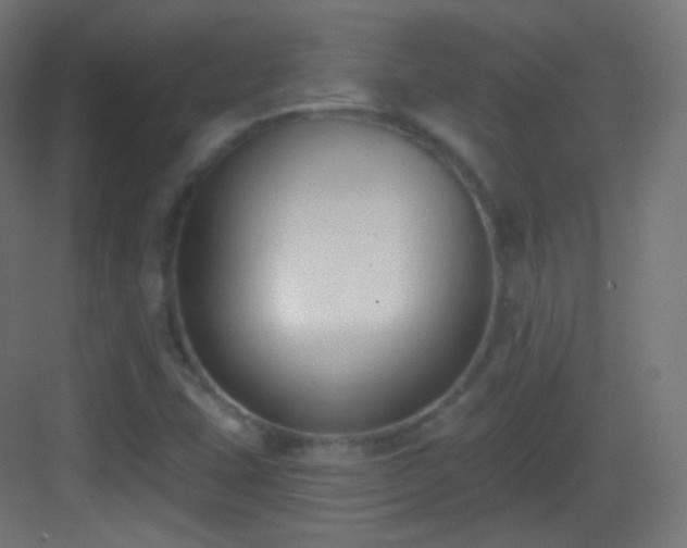 X0000083531407200702090954