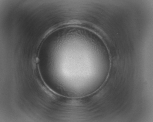 X0000083531409200702090954