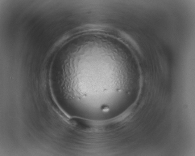 X0000083531411200702090954