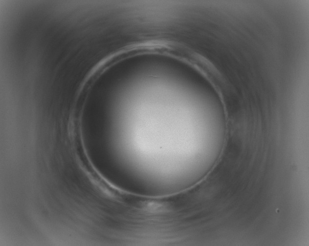 X0000083531412200702090954