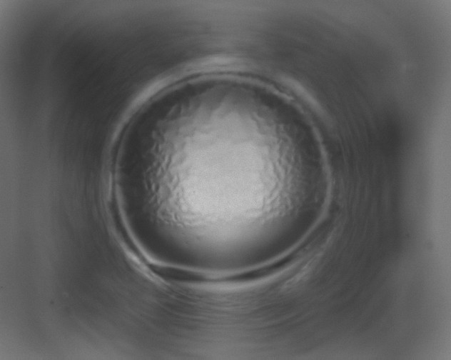 X0000083531413200702090954
