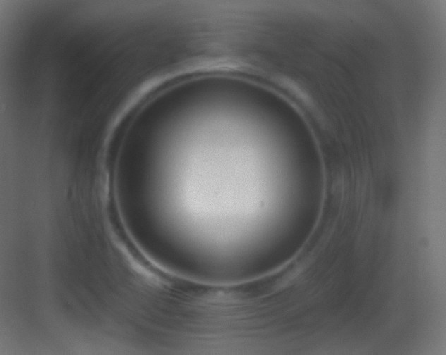 X0000083531414200702090954