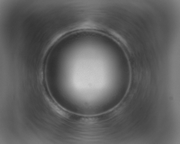 X0000083531415200702090954