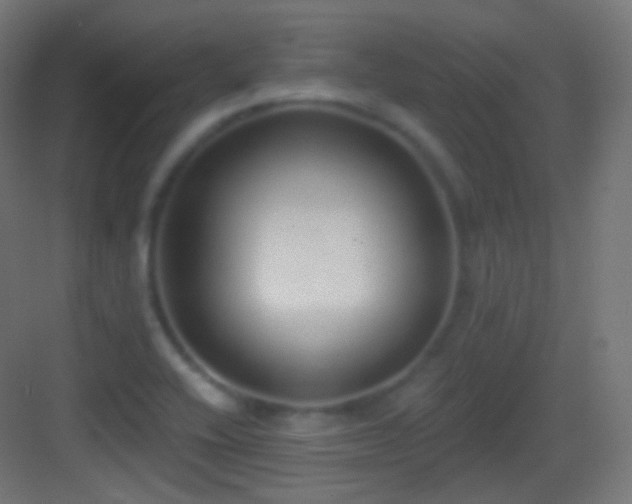 X0000083531416200702090954