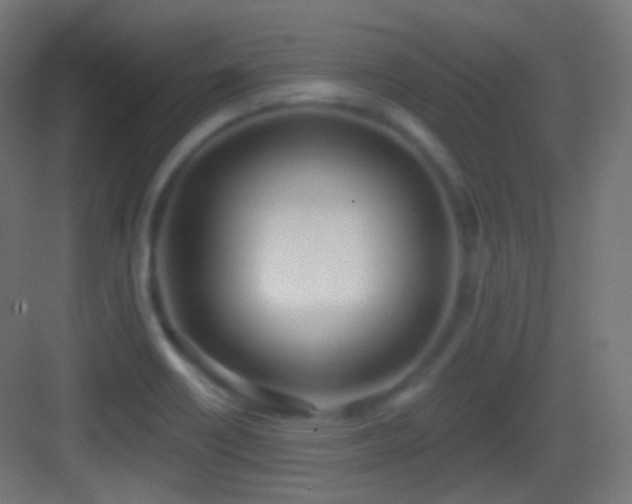 X0000083531418200702090954