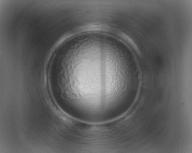X0000083531419200702090954
