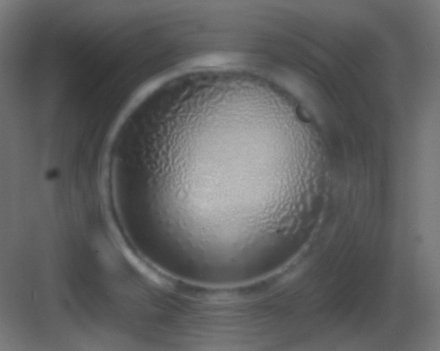 X0000083531421200702090954