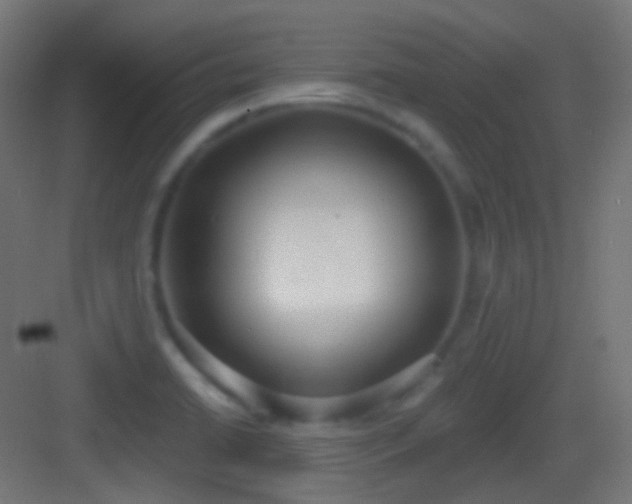 X0000083531422200702090955