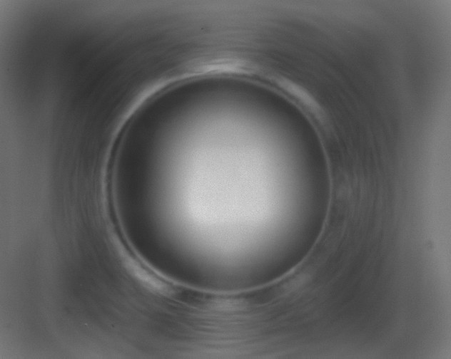 X0000083531423200702090955