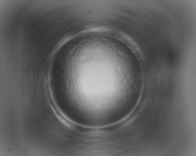 X0000083531425200702090955