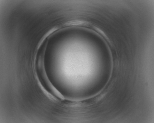 X0000083531426200702090955