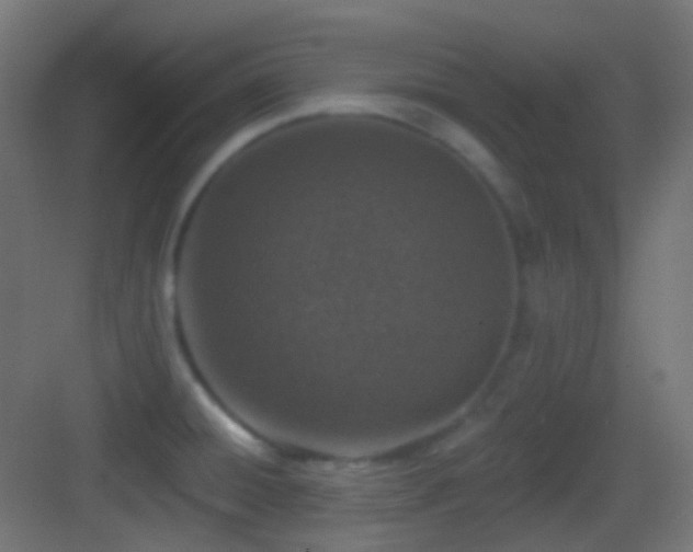 X0000083531428200702090955