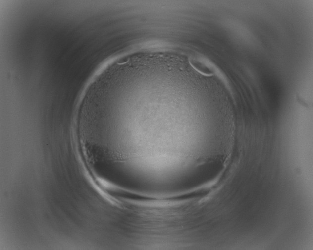 X0000083531429200702090955