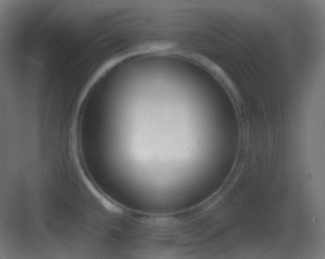X0000083531432200702090955