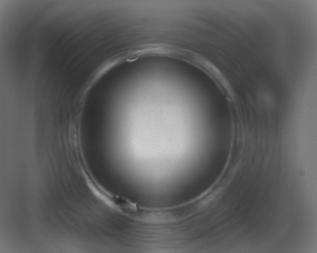 X0000083531433200702090955