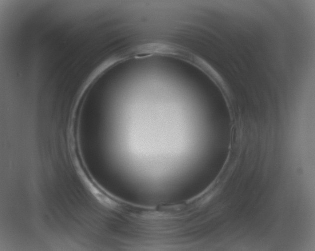 X0000083531434200702090955