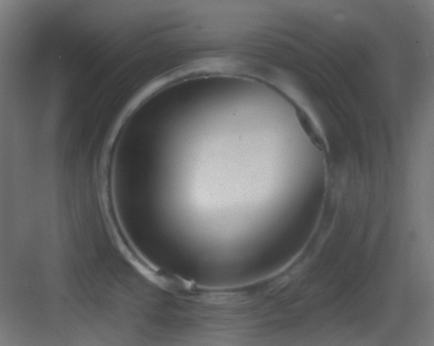 X0000083531437200702090955