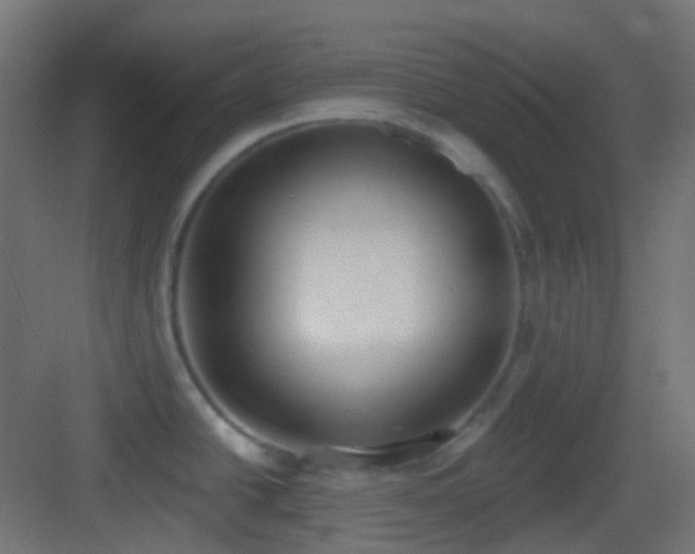 X0000083531438200702090955