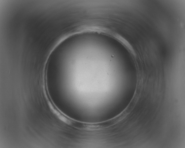 X0000083531439200702090955
