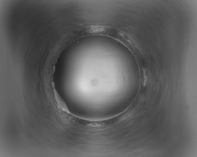 X0000083531441200702090954