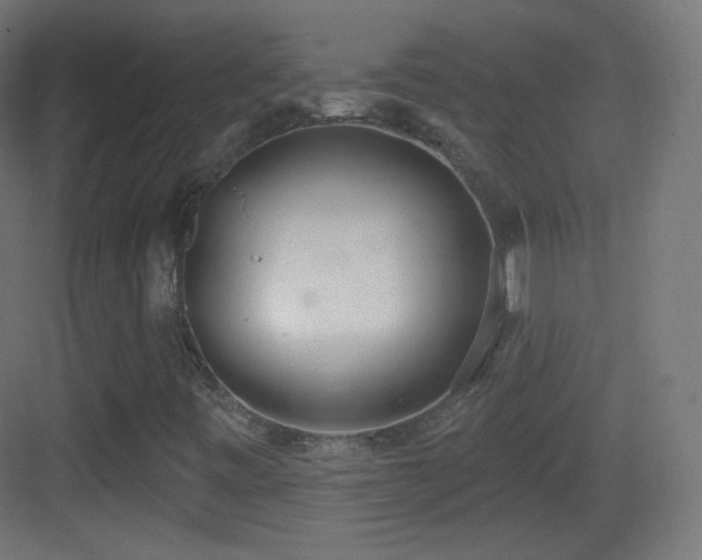 X0000083531443200702090954