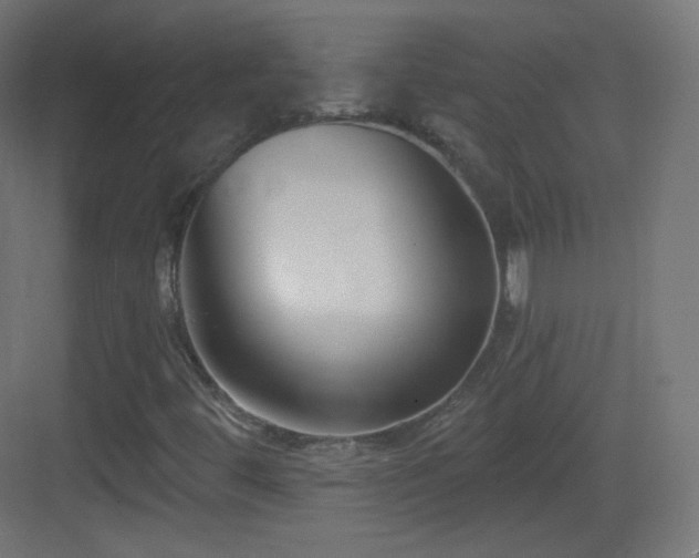 X0000083531444200702090954