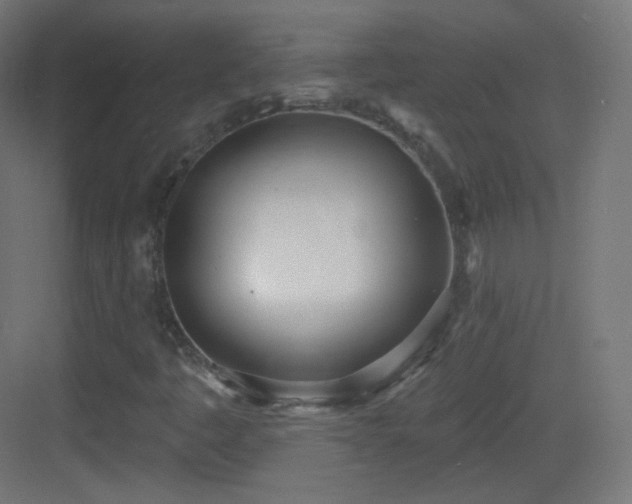 X0000083531445200702090954