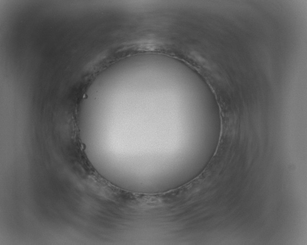X0000083531446200702090954