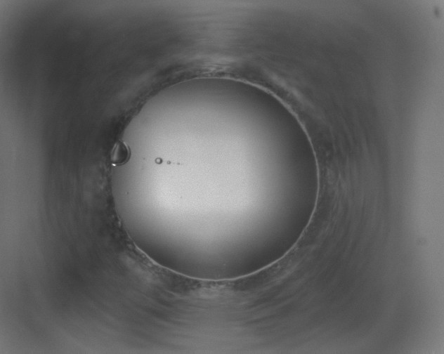 X0000083531447200702090954