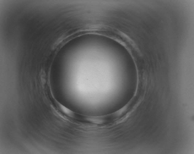 X0000083531449200702090954